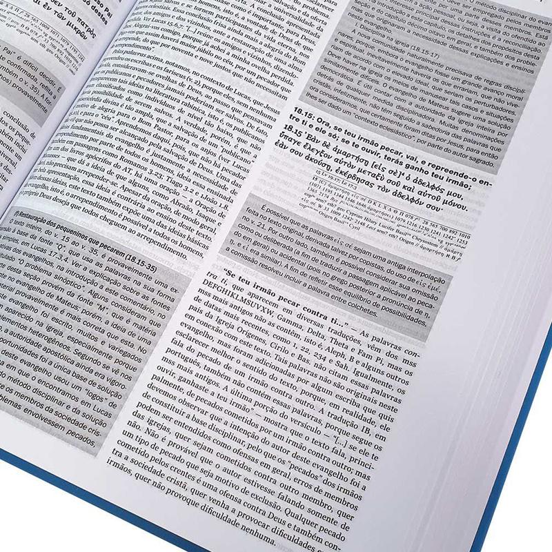 Kit Novo Testamento Interpretado + Enciclopédia Bíblia Teologia e